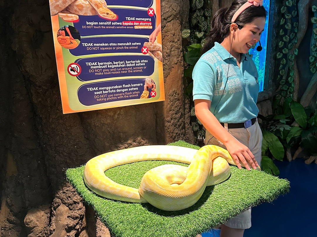Jakarta Aquarium & Safari-雅加达必去景点