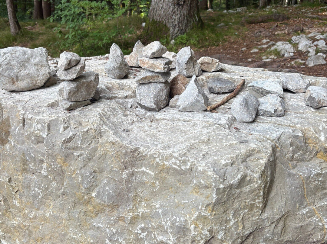 Sarnacli Park-安达洛必去景点