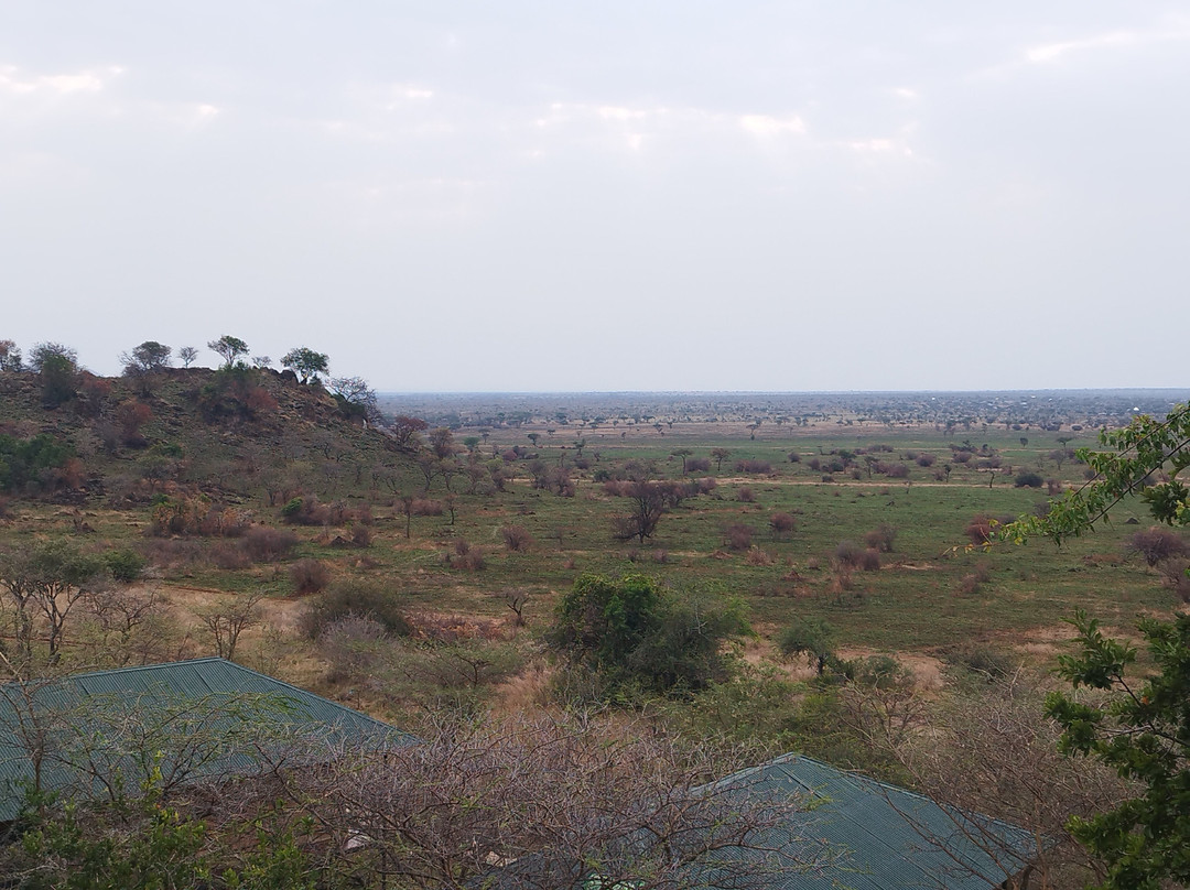 Ikoma Wild Camp主图