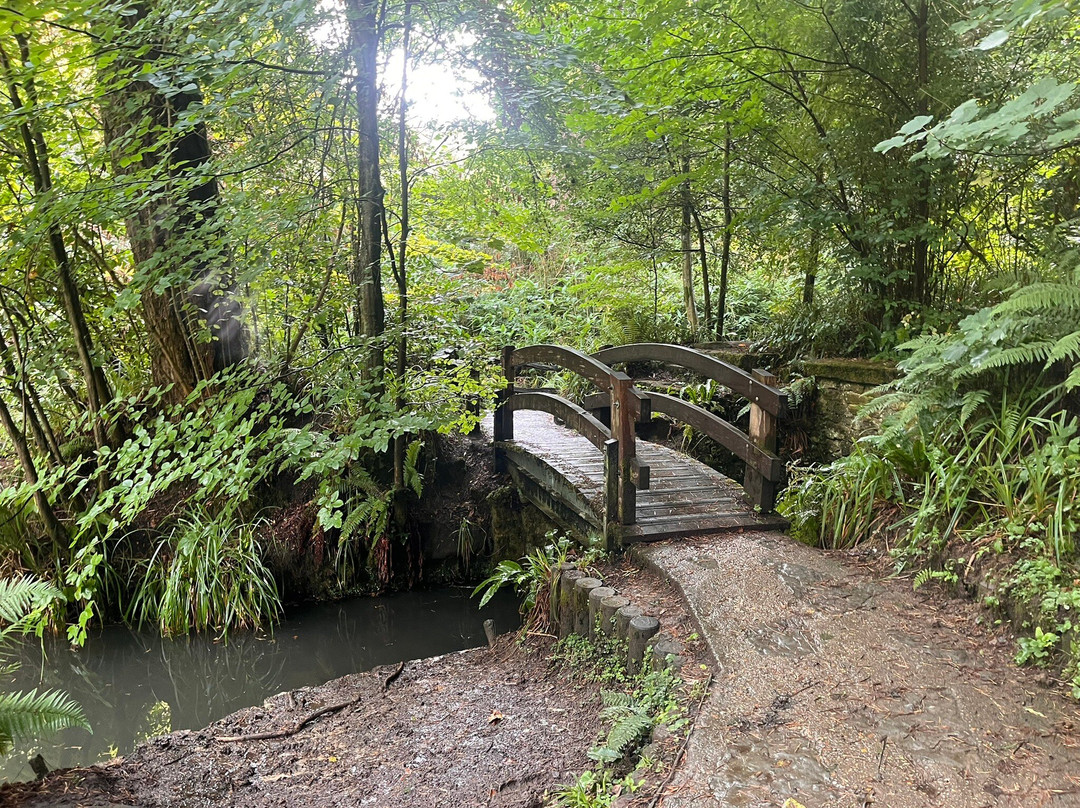 Ninesprings Country Park-约维尔必去景点