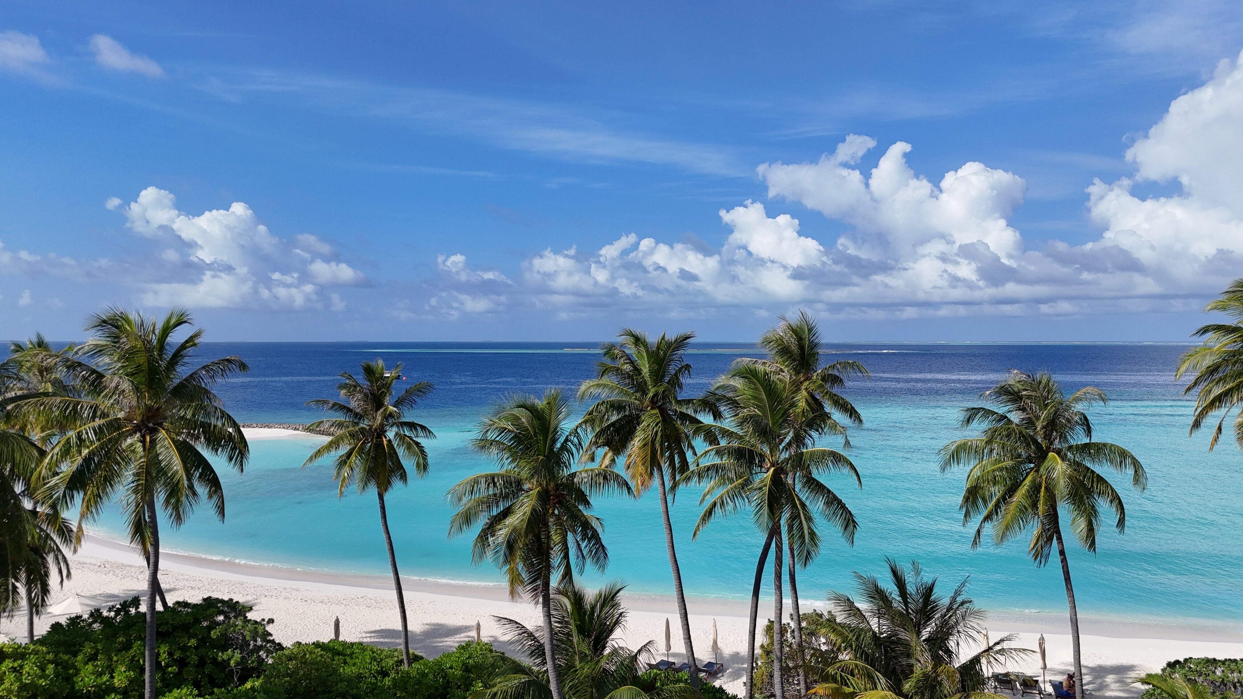 Avani+ Fares Maldives Resort-泳池