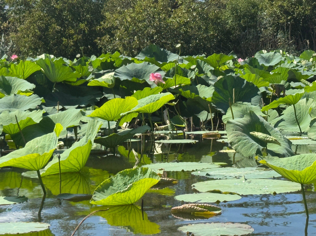 Stand Up Paddle Adventure