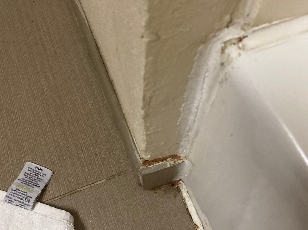 Comfort Suites Johnson City主图