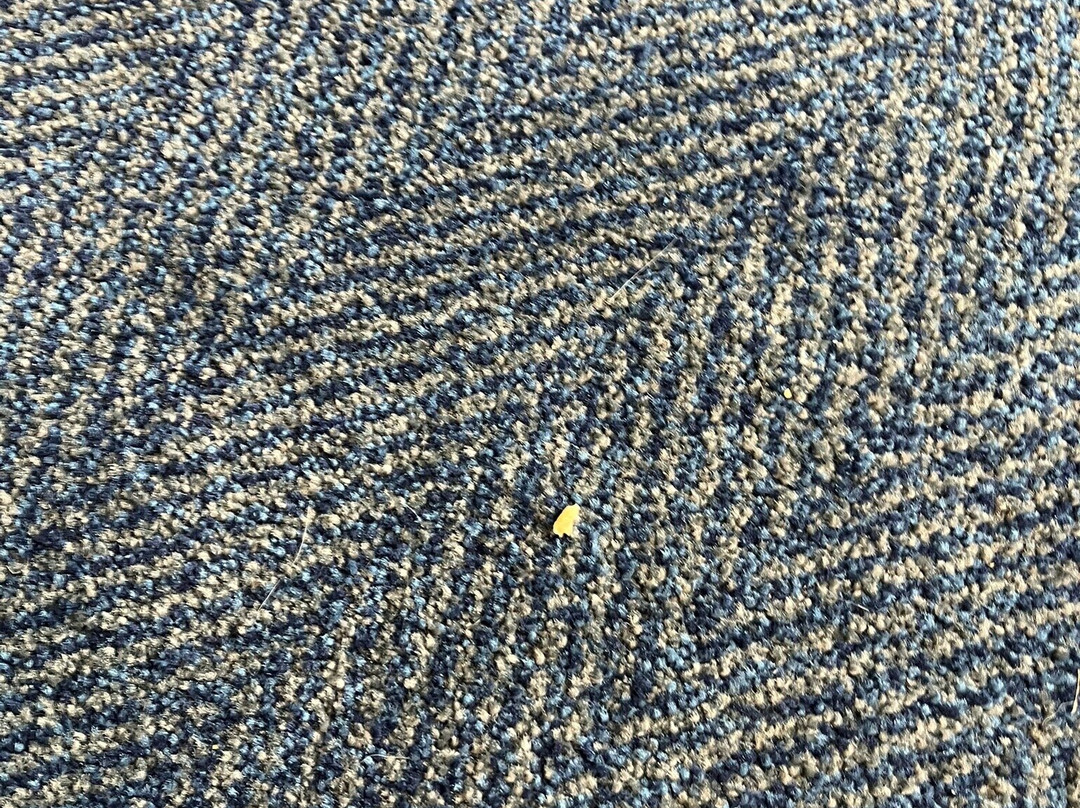 Travelodge Clacton-on-Sea Central主图