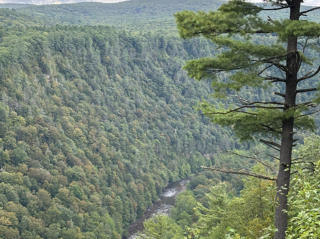 Pine Creek Outfitters, Inc-Wellsboro必去景点