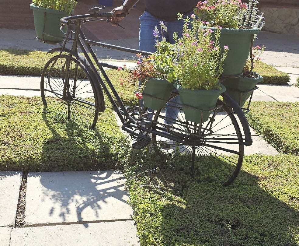 Tumaini Gardens主图