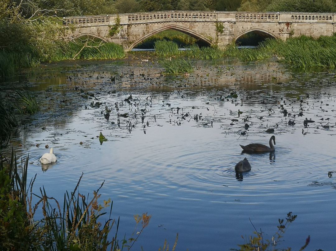 Mercure Warwickshire Walton Hall Hotel Spa-Walton必去景点