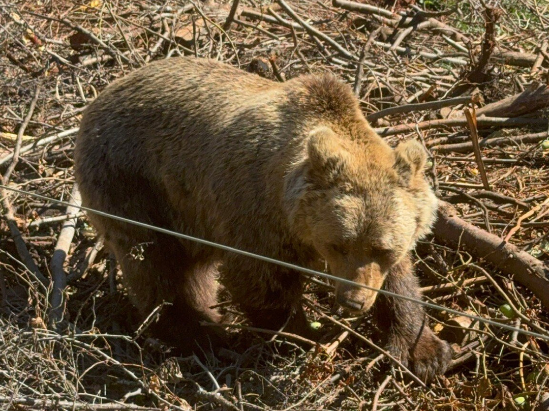 Velebit Association Kuterevo-Kuterevo必去景点