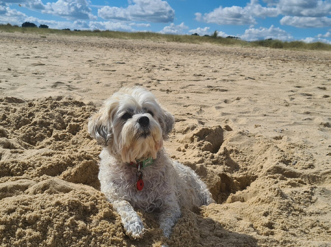 Great Yarmouth North Beach-大雅茅斯必去景点