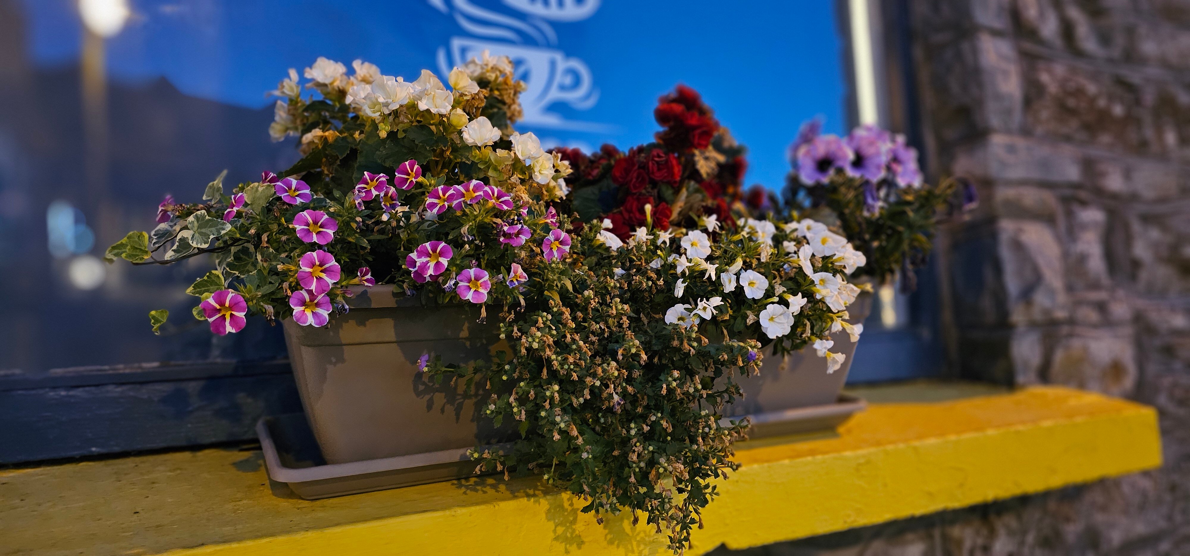 Blarney Castle Hotel-浴室