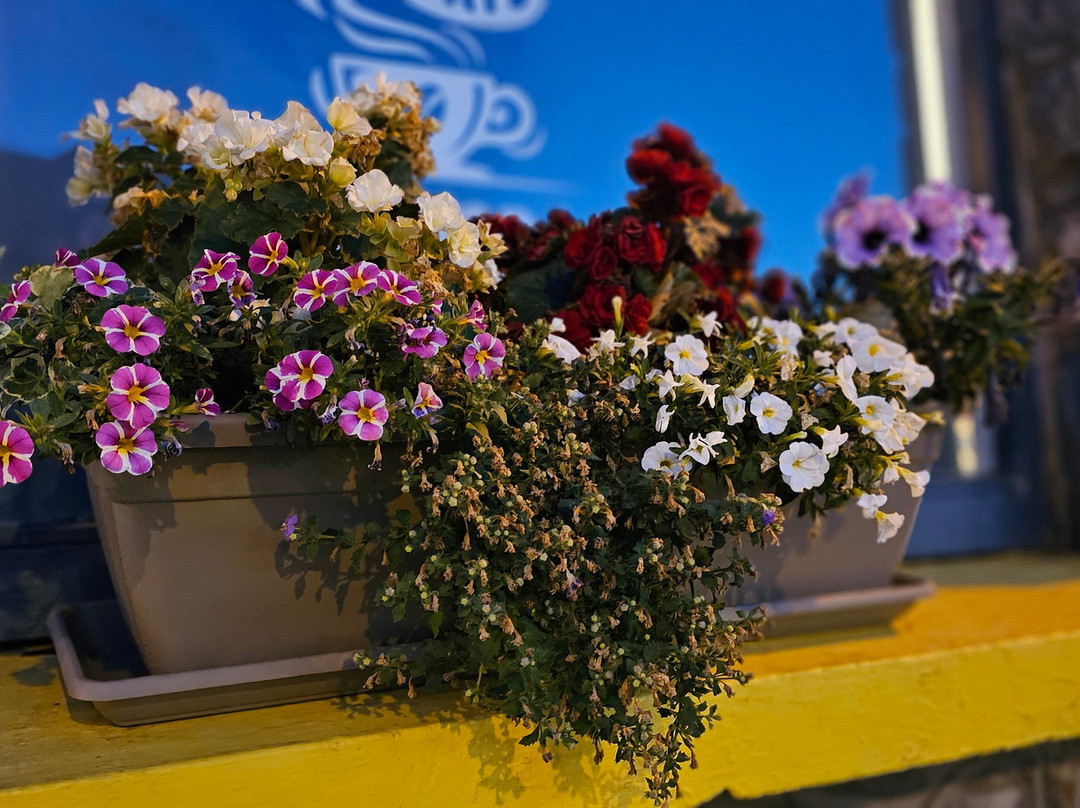 Blarney Castle Hotel主图