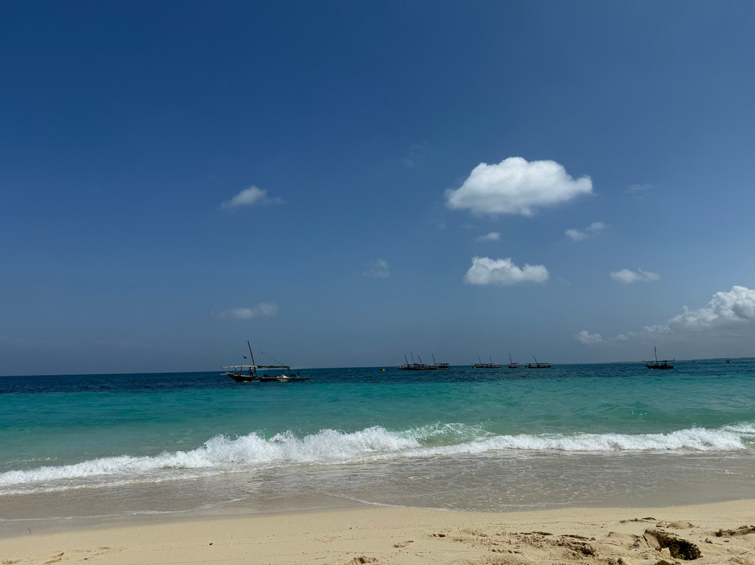 Muhi Tours And Safaris-Mbuzini必去景点