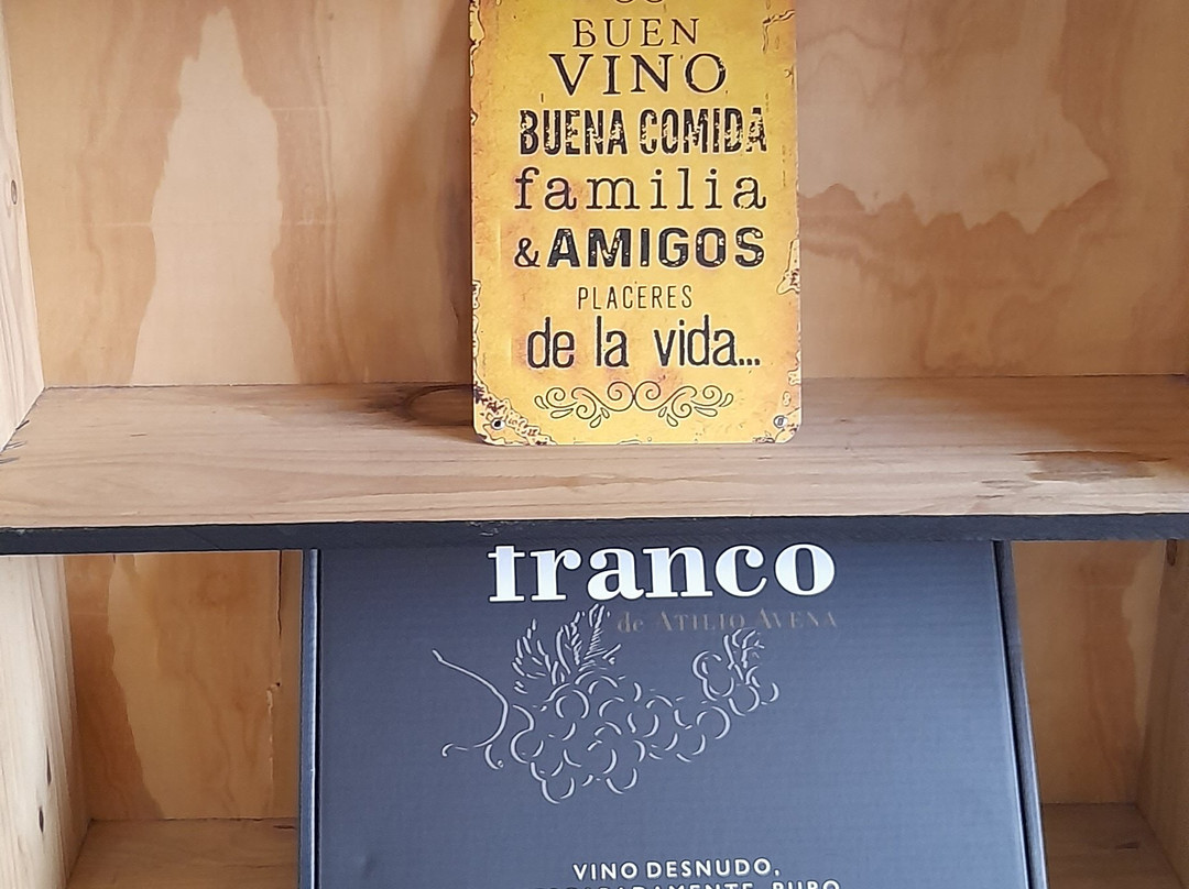 Bodega Atilio Avena-门多萨必去景点