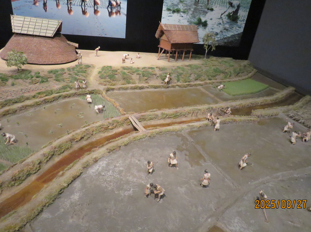 Yayoi Culture Museum-和泉市必去景点