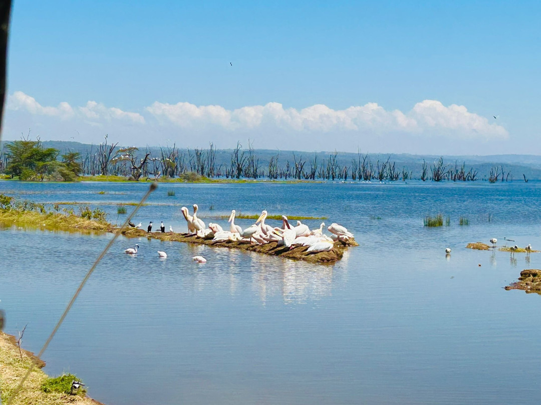 Joseph  Parsae-Amboseli Eco-system必去景点