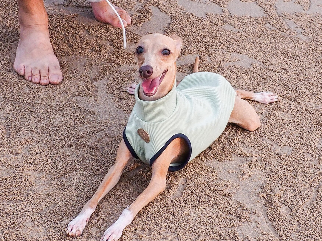 泰国蒉不日X2度假村