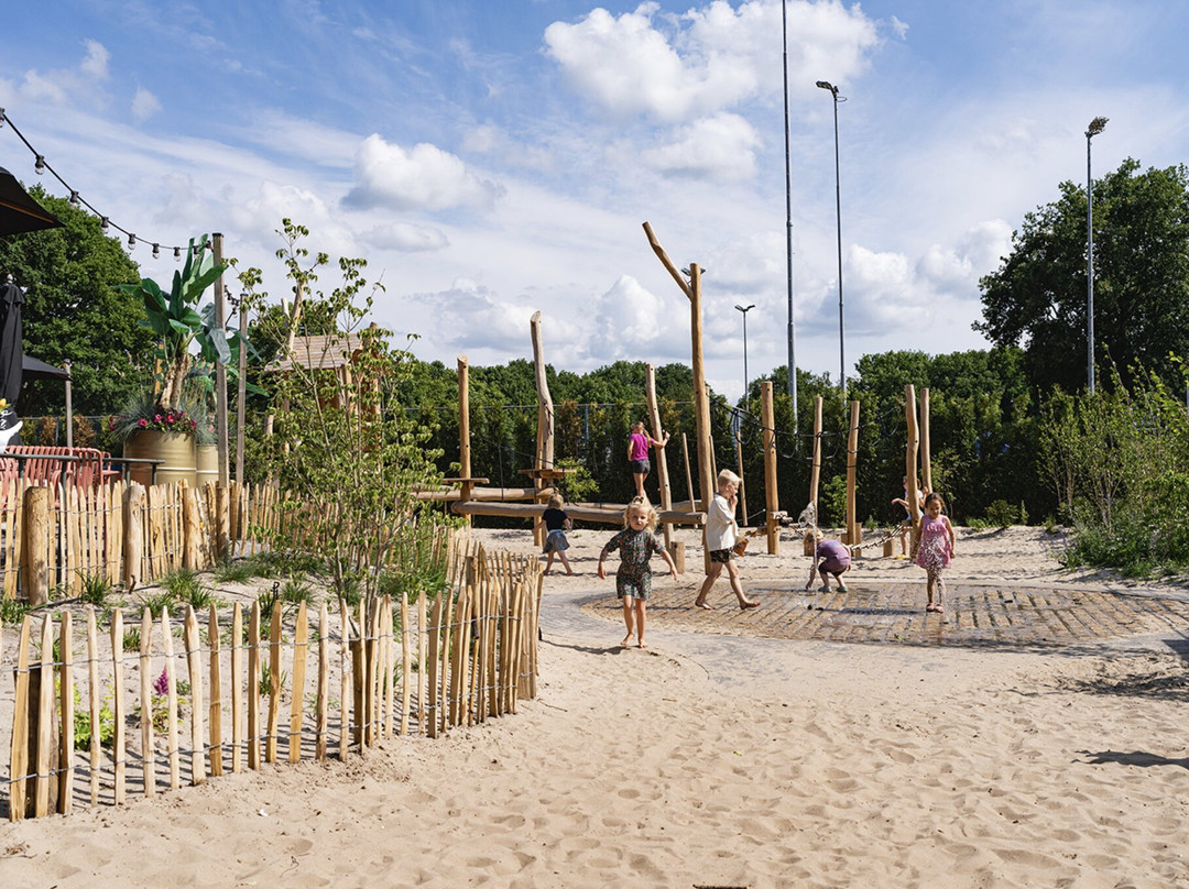 De Hoge Heide