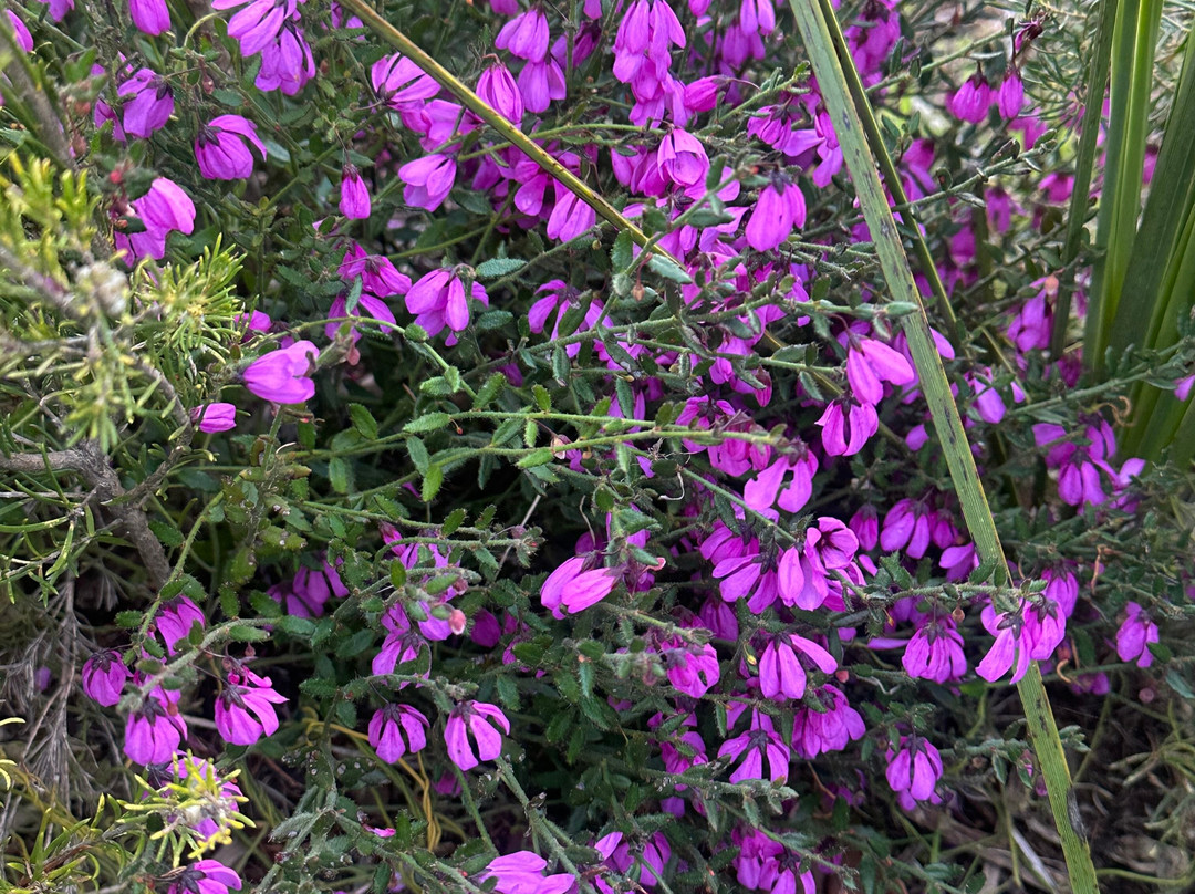 Margaret River Mountain Bike Tours-玛格丽特河必去景点