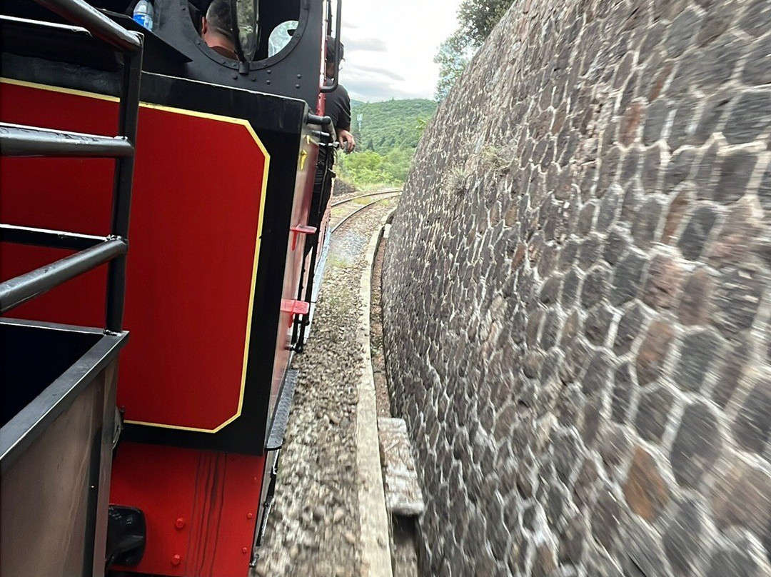 Train à Vapeur des Cévennes-Anduze必去景点