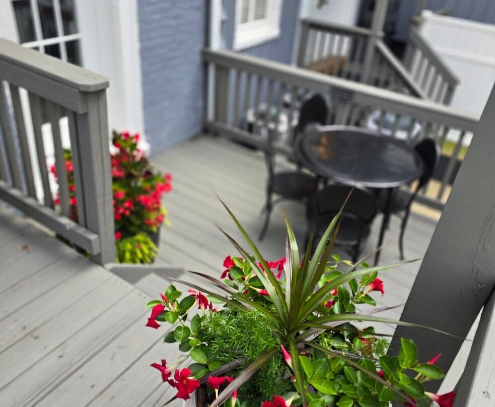 Hotel Laurance主图