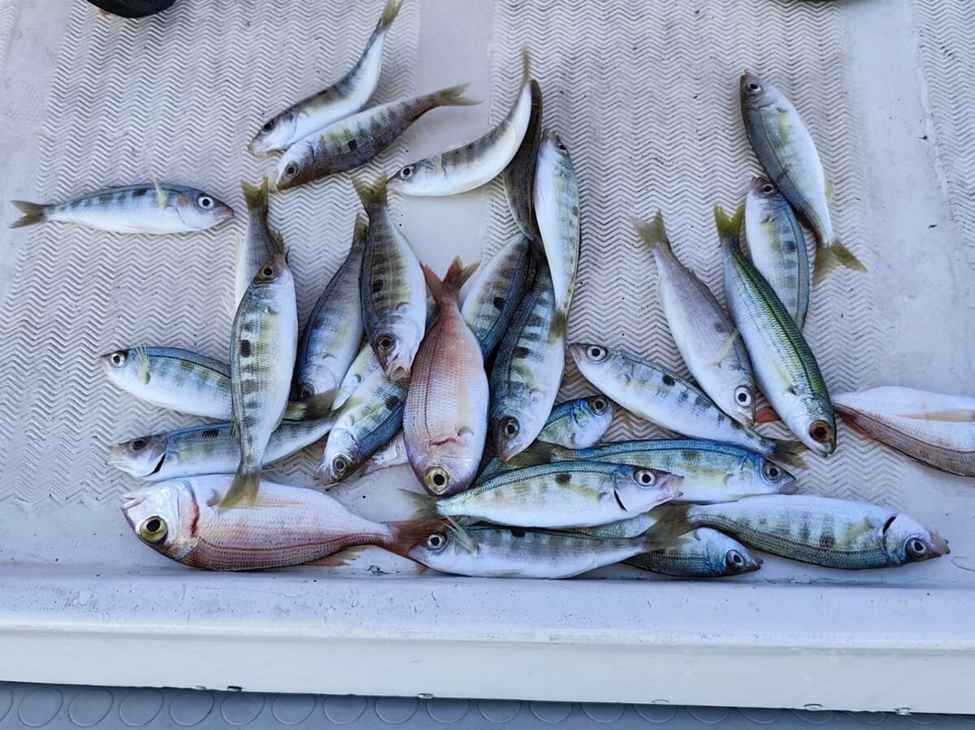 Rethymno Fishing Trip The Lucky Hook-雷斯蒙必去景点