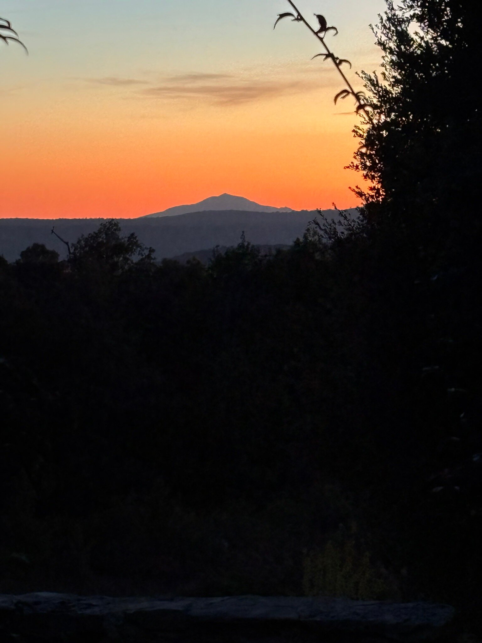 Domaine de la Blaque-官方