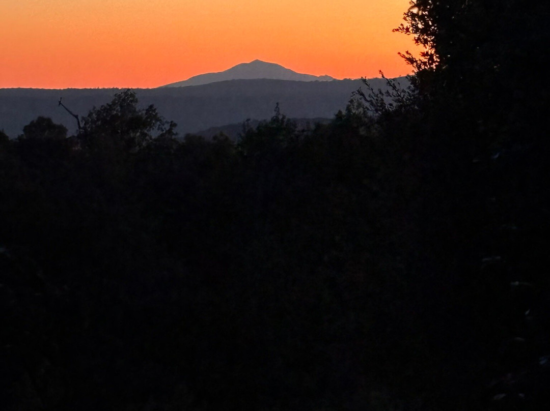 Domaine de la Blaque主图