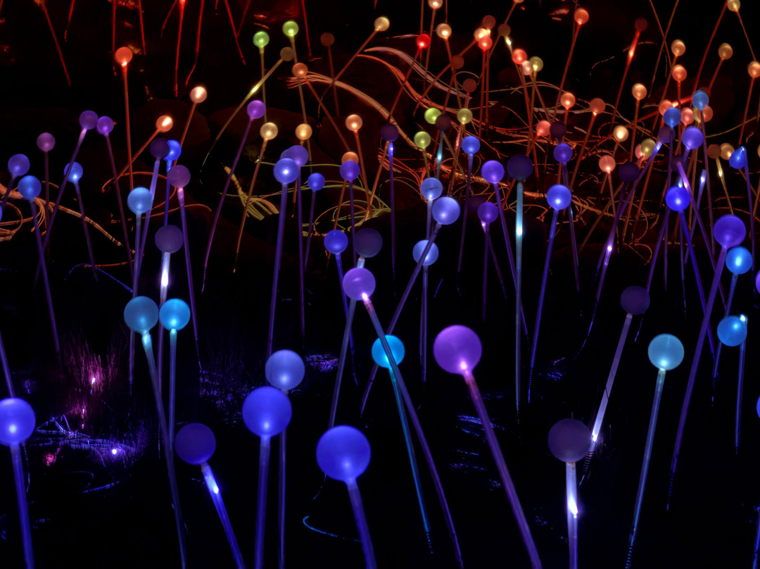 Sensorio-帕索罗布尔斯必去景点