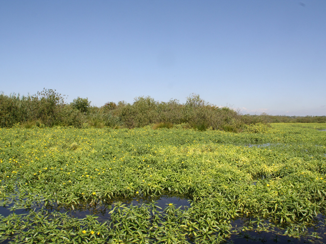 Navigazione Mincio-Rivalta sul Mincio必去景点