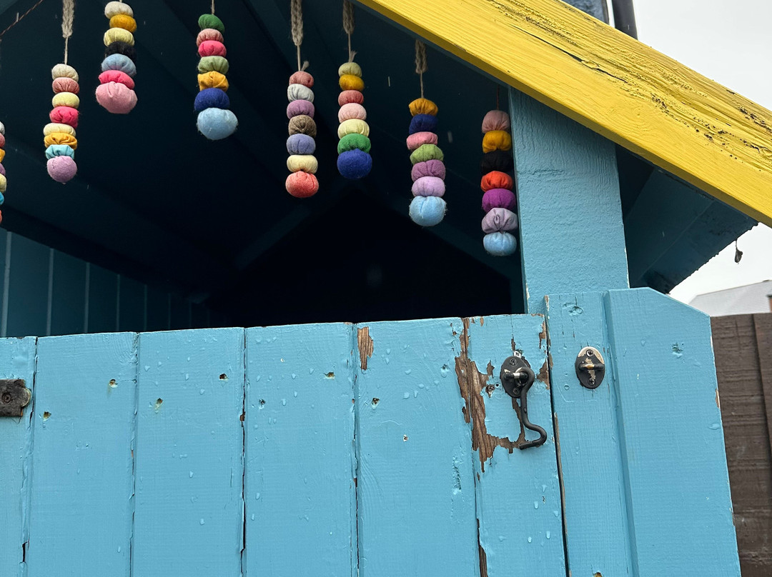 CBK Adventures-Cullercoats必去景点