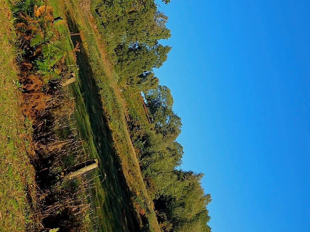 Beacon Hill Country Park-拉夫堡必去景点
