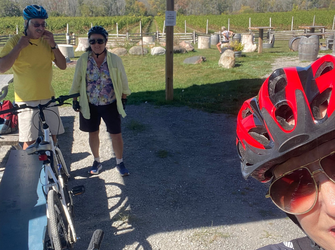 County Bike Rentals-爱德华王子县必去景点