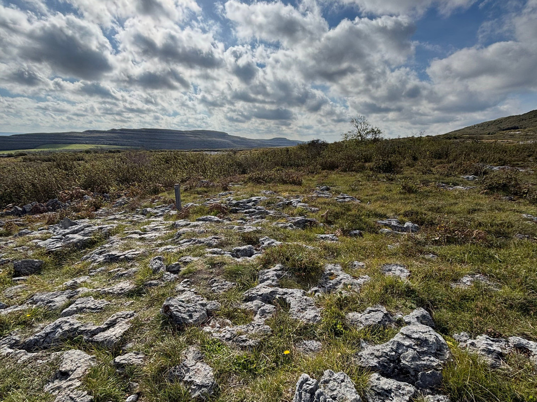 Burren Guided Walks & Hikes-Walking Day Tours-Fanore必去景点