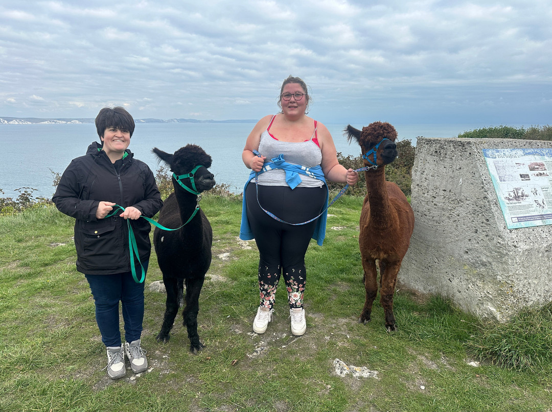 Portland Alpaca Trekking-Weston必去景点