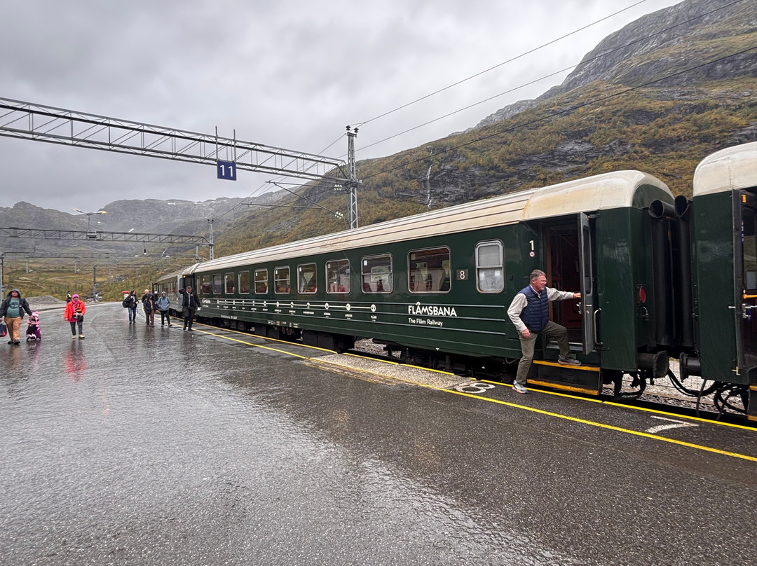 Myrdal Station-米达尔必去景点