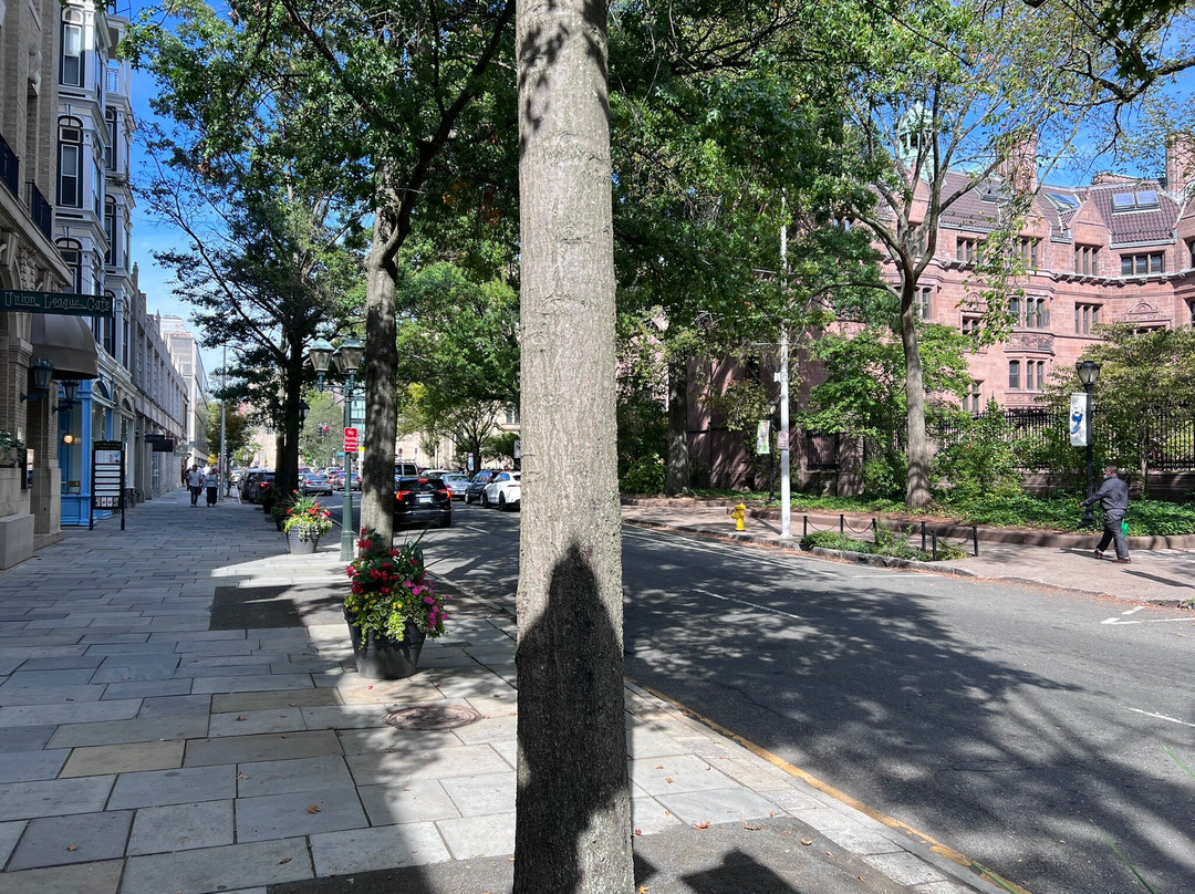 Chapel Street-纽黑文必去景点