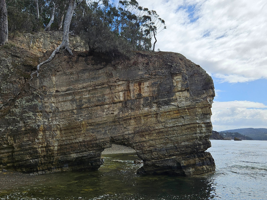 Fossil Cove-Blackmans Bay必去景点