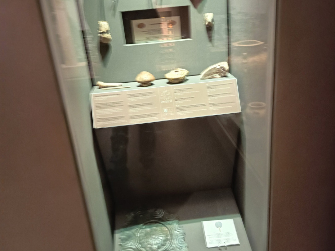 Archaeological Museum of Messenia-卡拉马塔必去景点