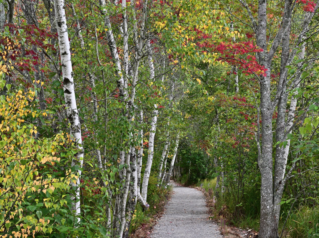 J.K. Putnam Photography-Southwest Harbor必去景点