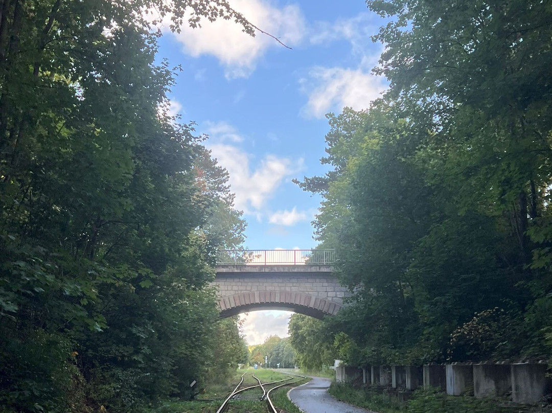 Erlebnisdraisine-Lengenfeld unterm Stein必去景点