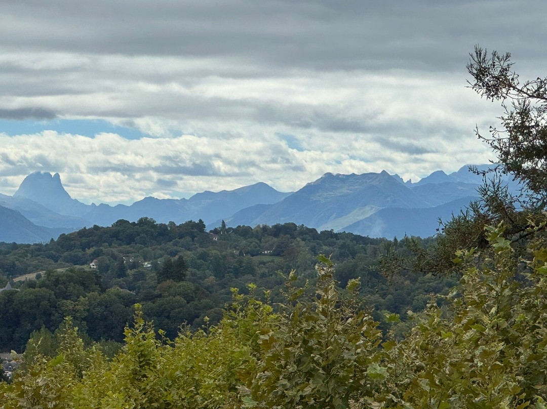 Boulevard des Pyrénées-坡市必去景点