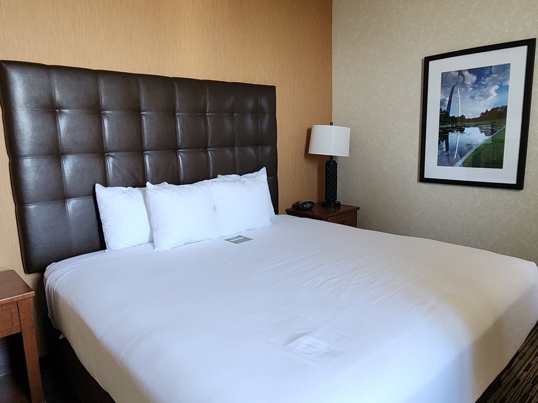 Drury Plaza Hotel St. Louis at the Arch主图