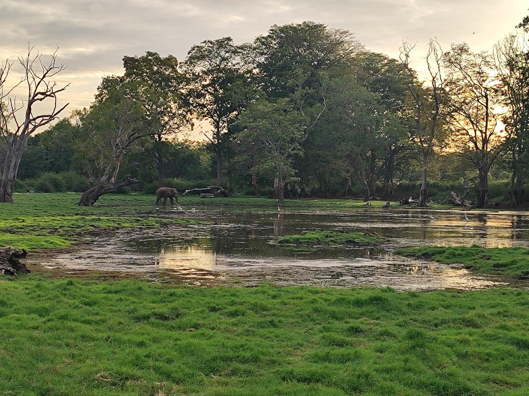 Lakshan jeep safari habarana-哈巴拉娜必去景点