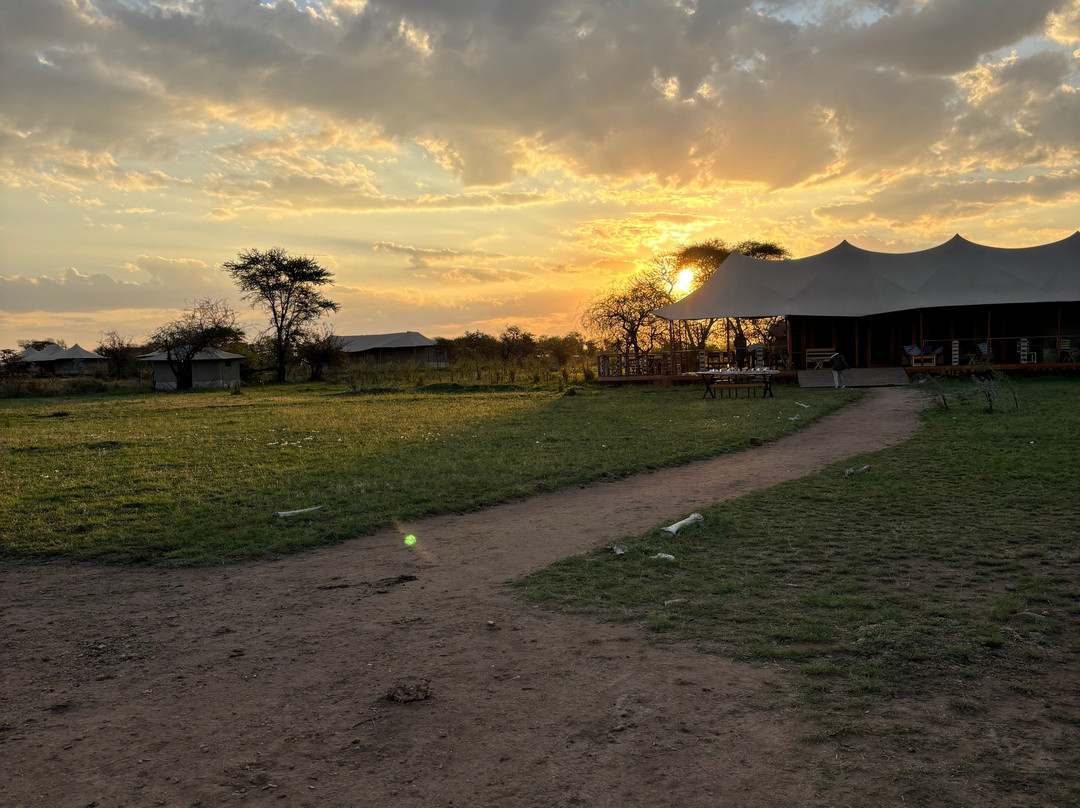 Glimpse of Africa Tented Camp-Ikoma必去景点