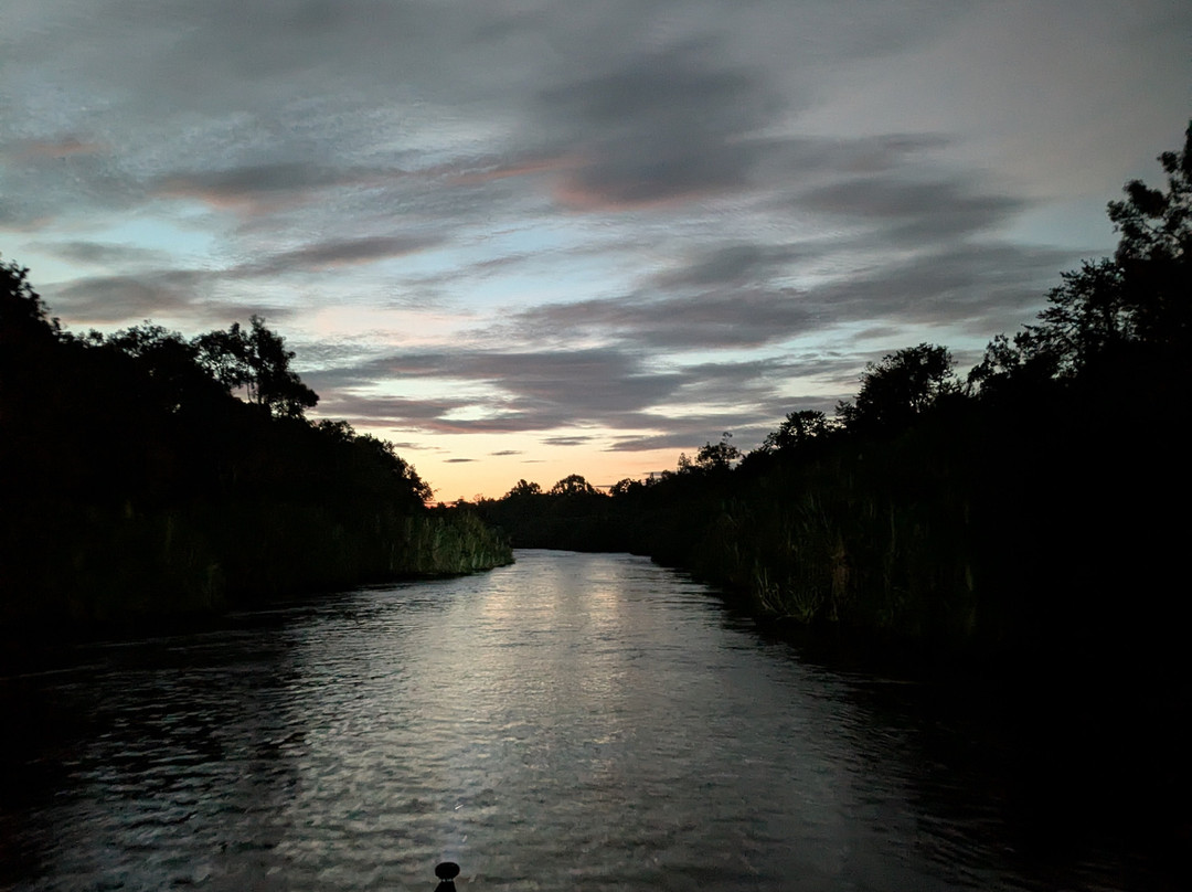 Guia En Borneo-Pangkalan Bun必去景点