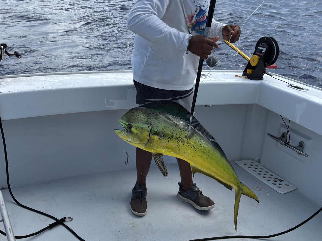 Paradise One Sports Fishing Charters-Somerset Village必去景点