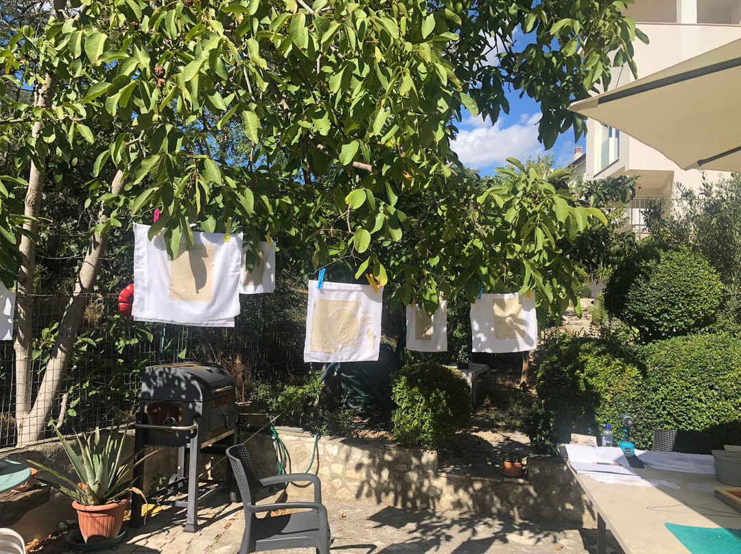 Dedalo Arte-佩斯卡拉必去景点