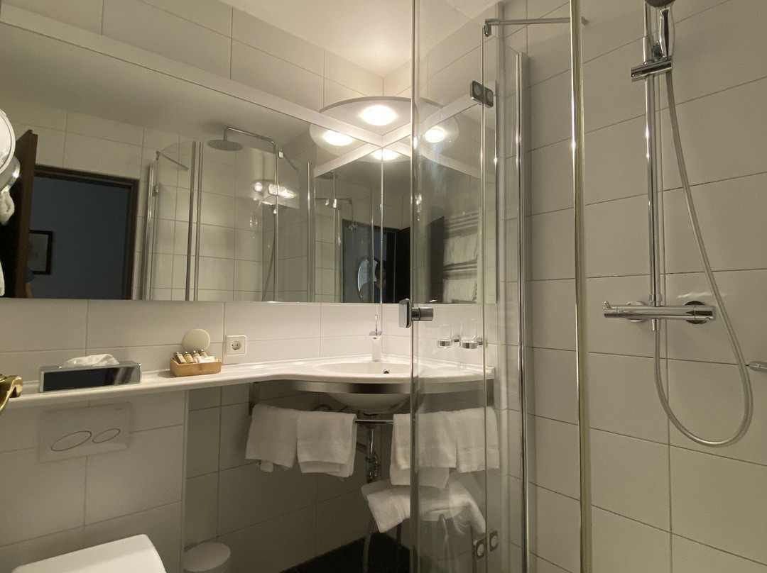 Hotel-restaurant Adler主图