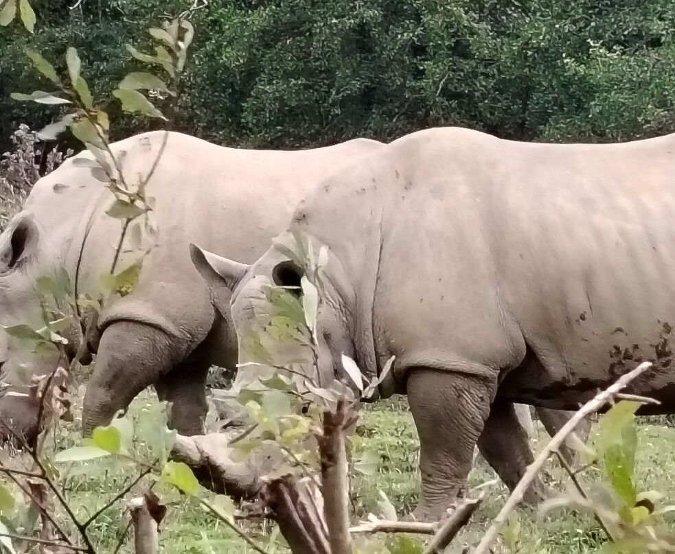 Manor Wildlife Park-St. Florence必去景点