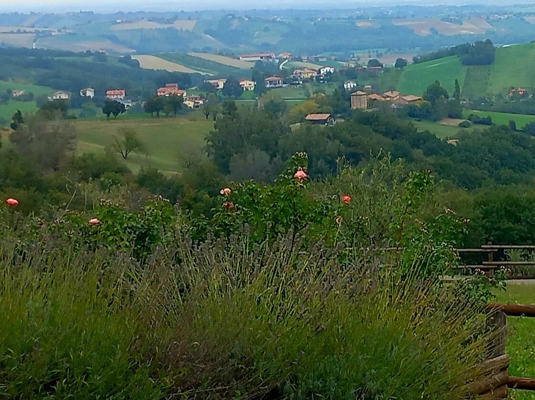 Cantina Il Poggio-萨尔索马焦雷泰尔梅必去景点